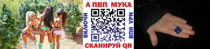 Купить где  Дмитриев  A PVP СК 