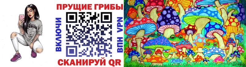 Купить  Дмитриев  Псилоцибиновые грибы мухоморы 